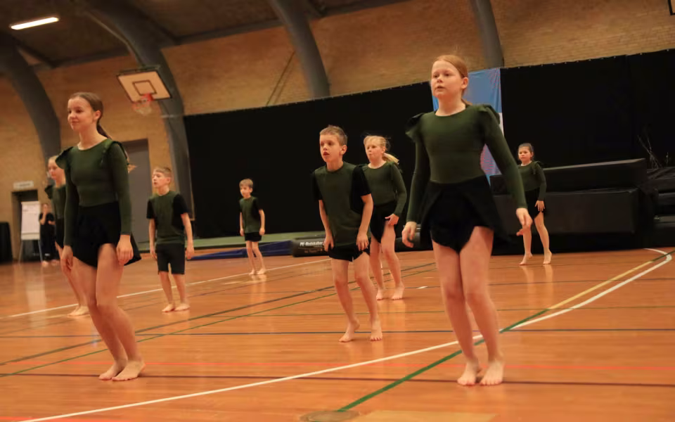 Stor succes ved DGI's opvisning
