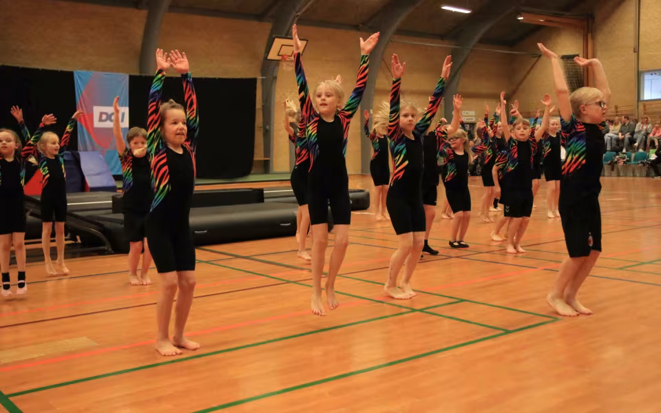 Stor succes ved DGI's opvisning