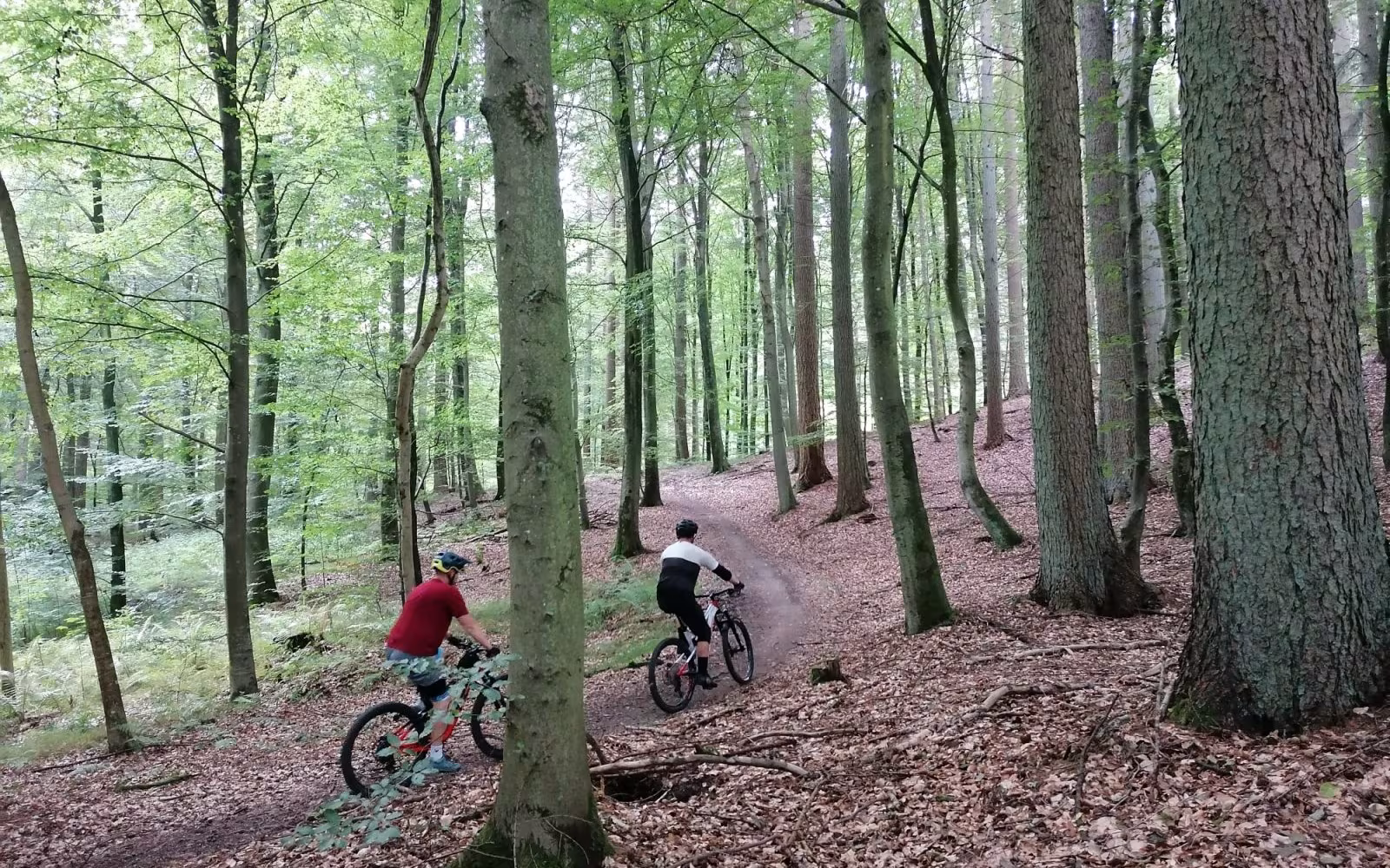 Bjerge Skov, Mountainbikerute