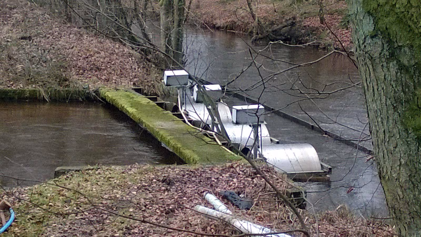 Ansager dambrug er blandt de dambrug, som naturstyrelsen opkøber