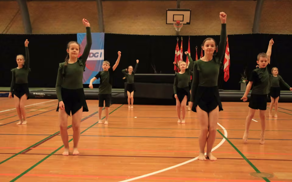 Stor succes ved DGI's opvisning