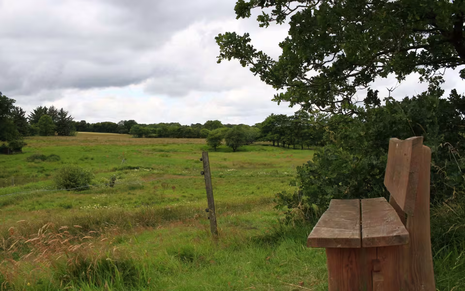 Hornes Vikingelund et paradis