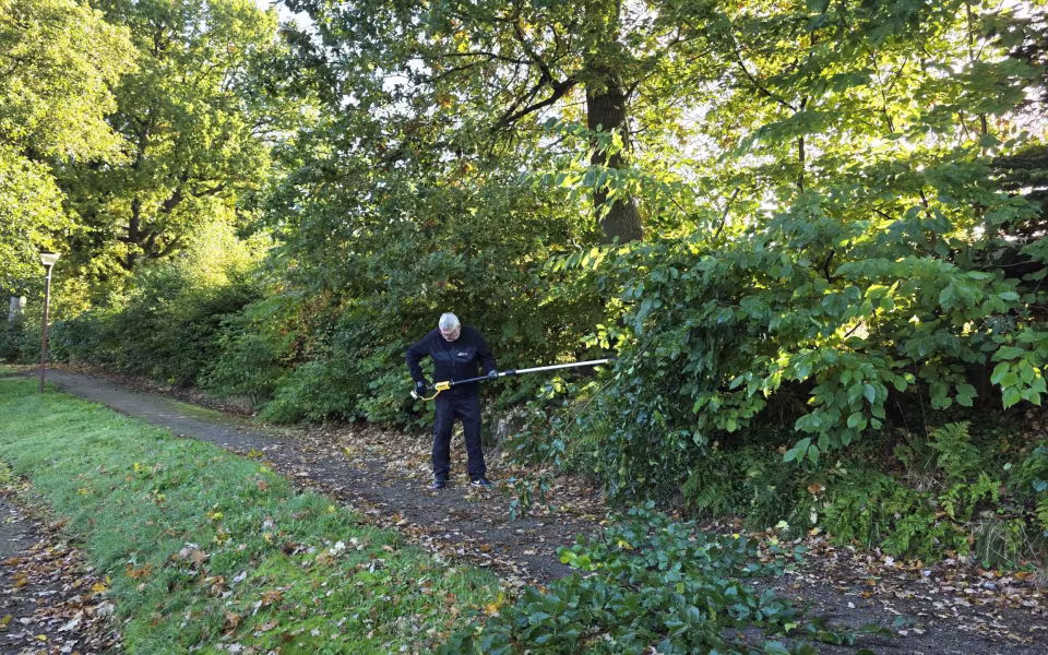 Solen skinnede fra en blå himmel, da 16 frivillige søndag den 4. oktober mødtes til arbejdsdag i Tistrup Anlæg.