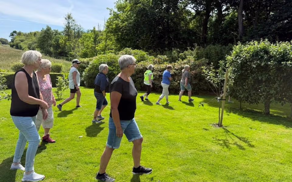 Midsommerstemning i haven