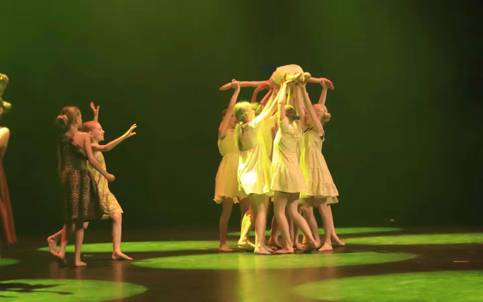 Dance Company Twenty Juleshow begejstrede 1200 publikummer