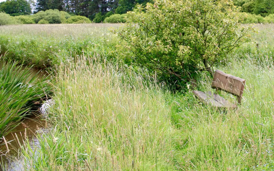 Hornes Vikingelund et paradis