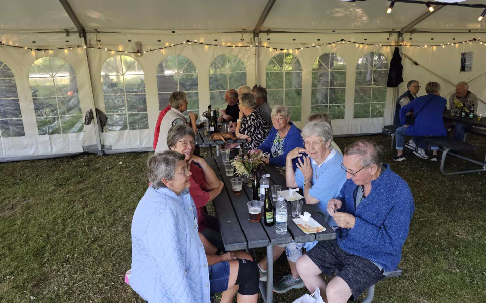 Billeder fra Midsommerfest I Tistrup anlæg 2025