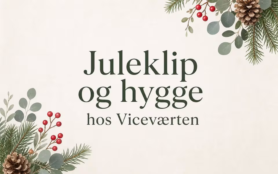 Juleklip og hygge hos Viceværten