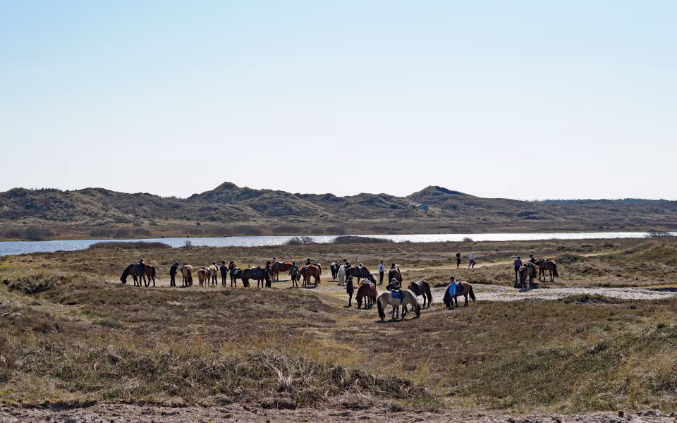 Ryttere på heste i klitterne ved Gammelgab Strand med sø foran sandbakker