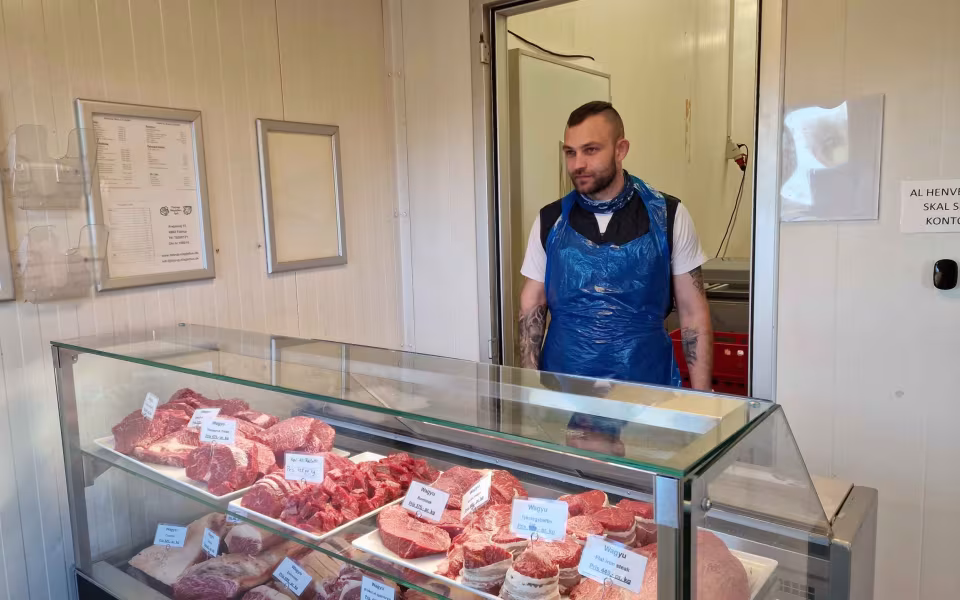 Stor aktivitet hos Tistrup Slagtehus på årets næstsidste dag