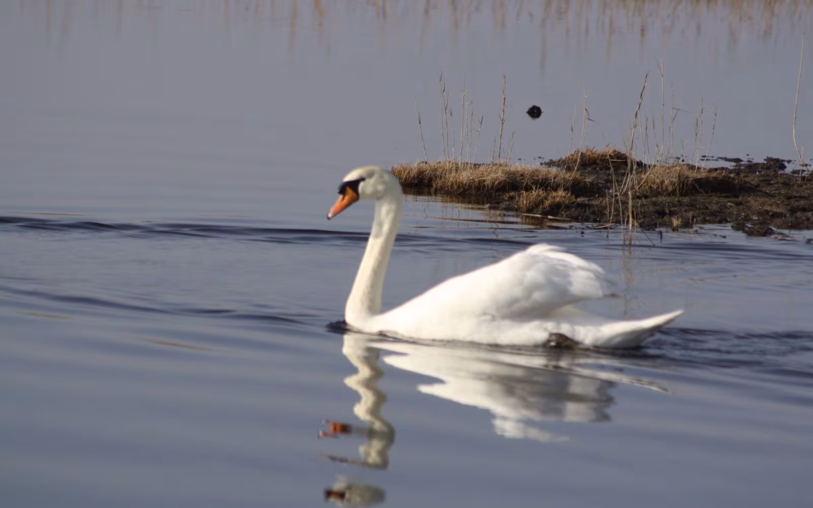 Natursti Oddesund Nord