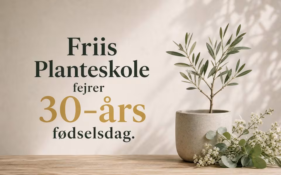 Friis Planteskole fejrer 30-års fødselsdag.