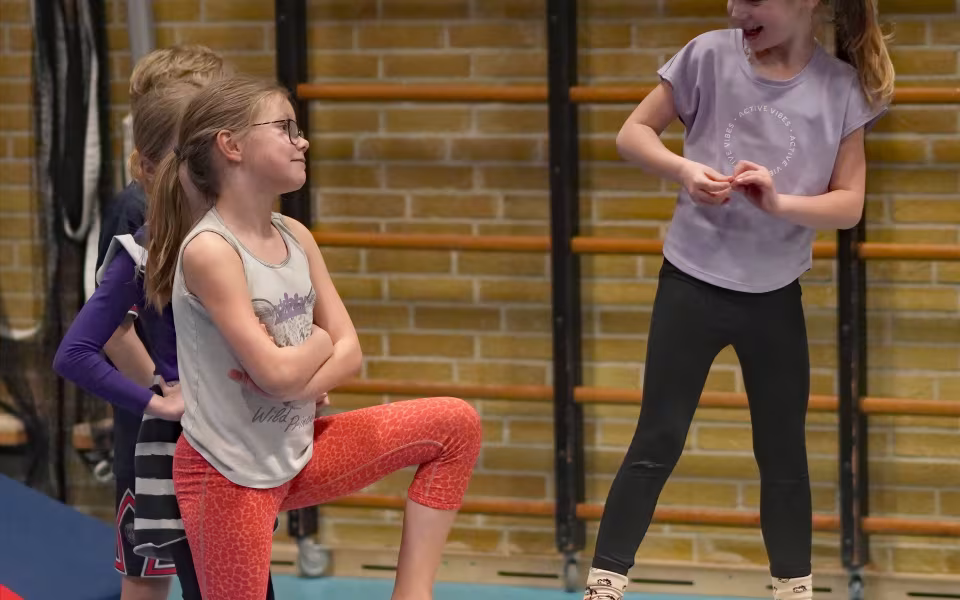 Holdet af Mini og Mega Mix gymnaster samlet, afspejler fællesskabets styrke. Sammen har de delt oplevelser, udfordringer og succeser, hvilket har styrket deres samhørighed og teamånd
