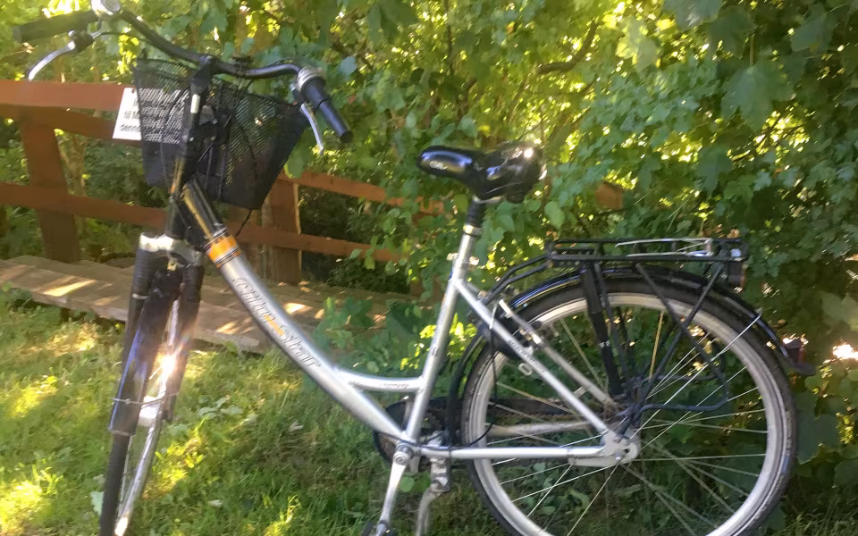 Efterladte cykler
