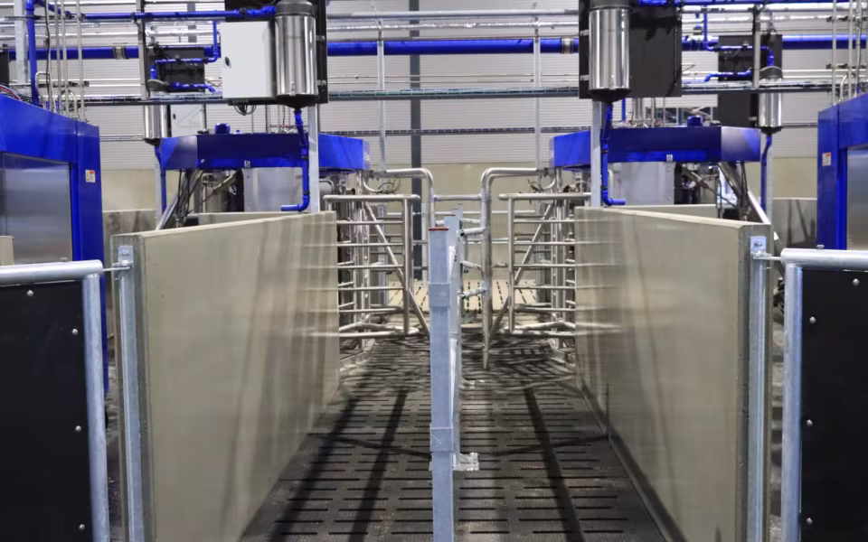Nyt staldanlæg hos Højrupgaard Agro tages i brug