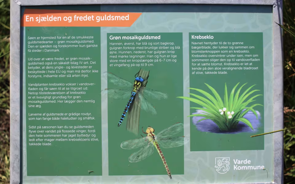 Nye skilte oplyser om sjælden guldsmed