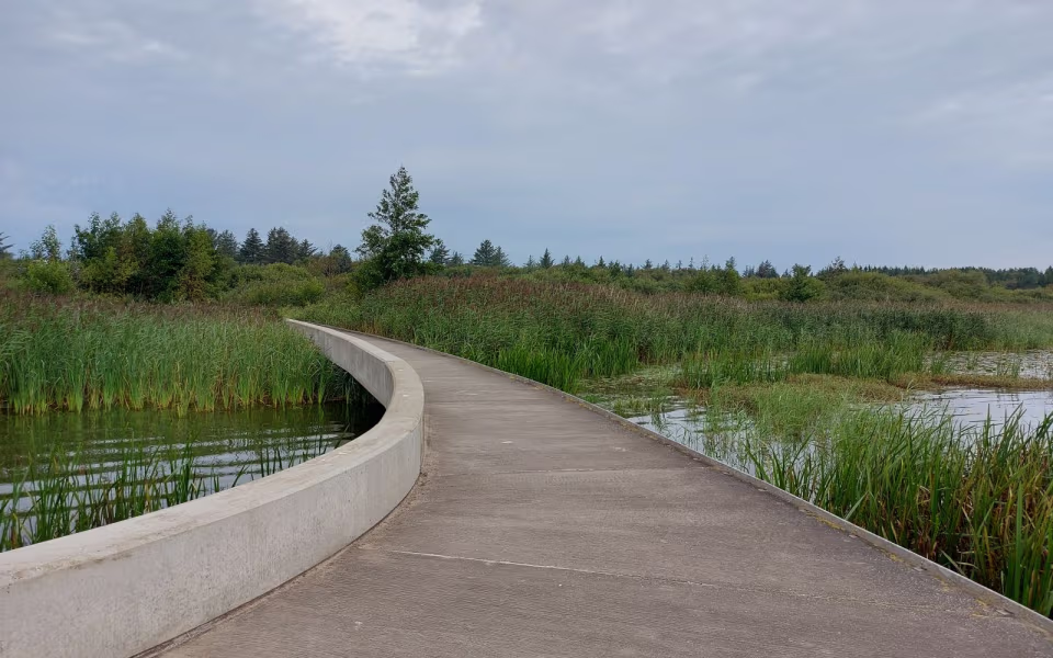 Filsø Ellipsen rundt
