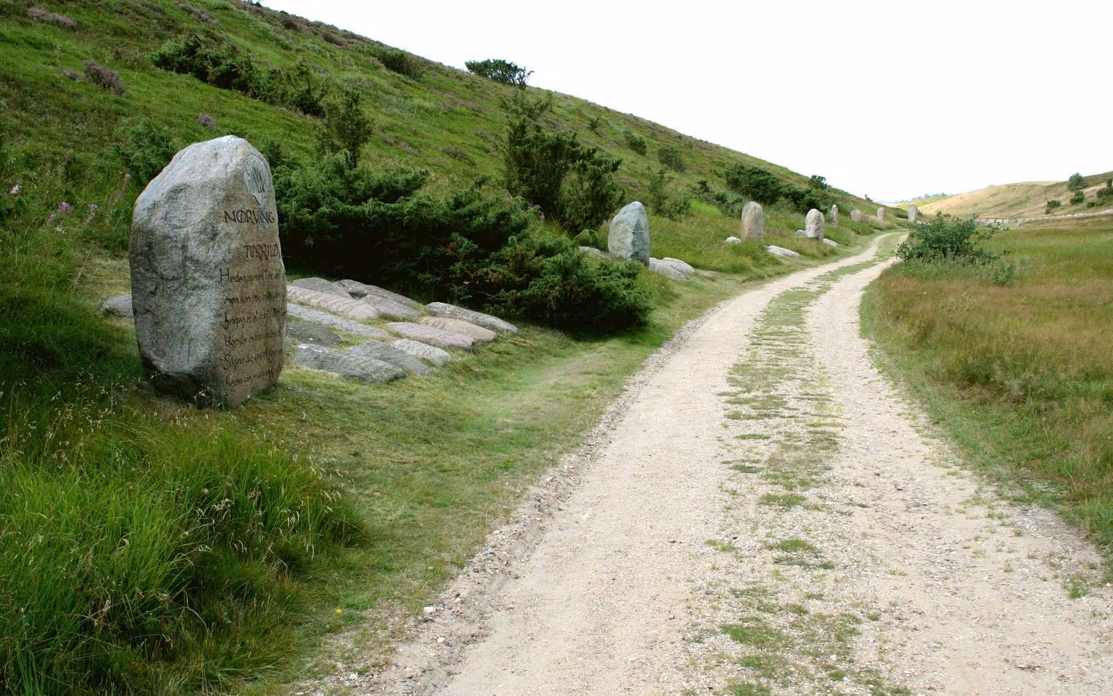 Gul rute på Kongenshus Hede (3,5 km)