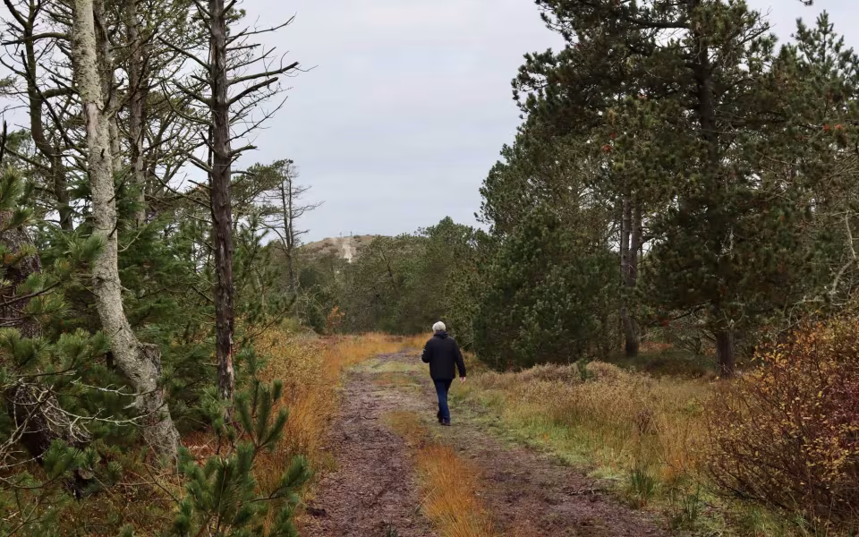 Find morgenroen på Gråmulebjerg