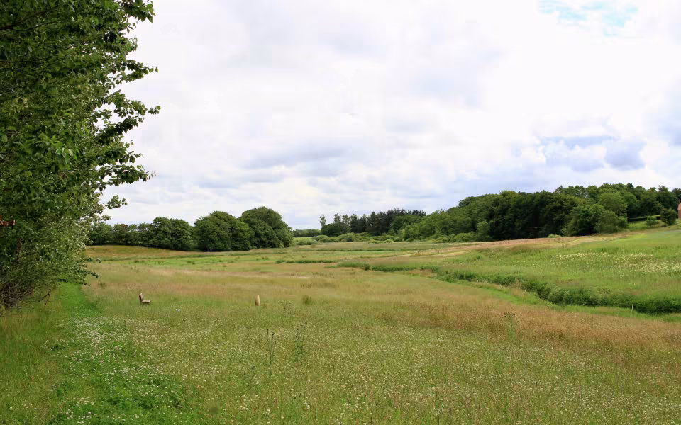 Hornes Vikingelund et paradis