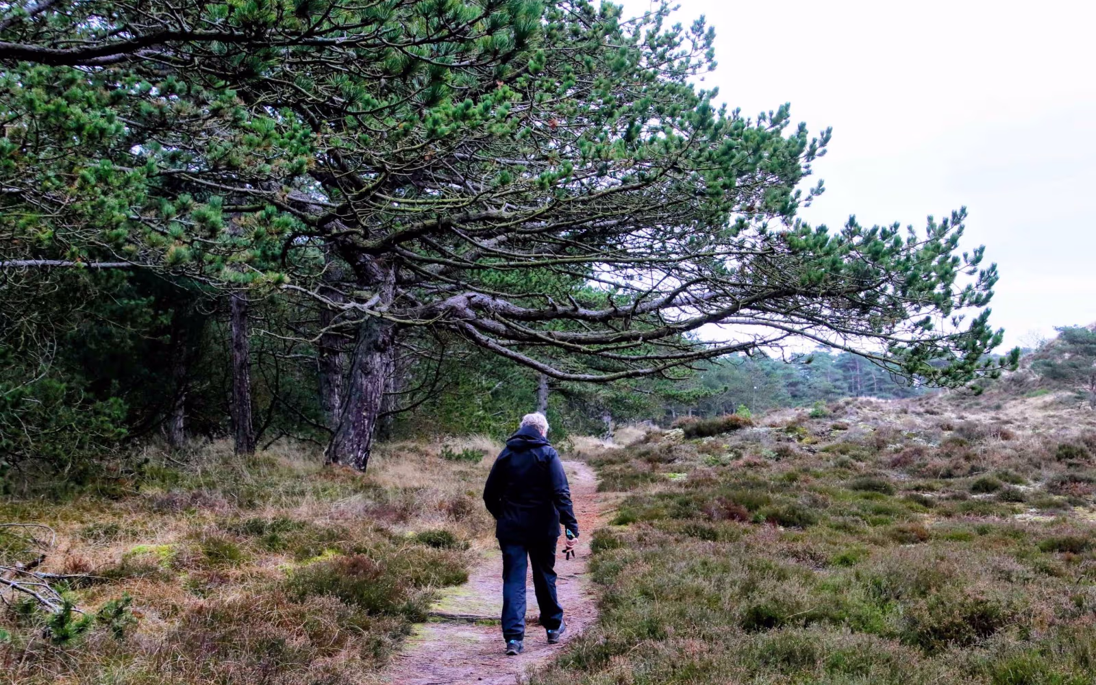 Ho - rød rute