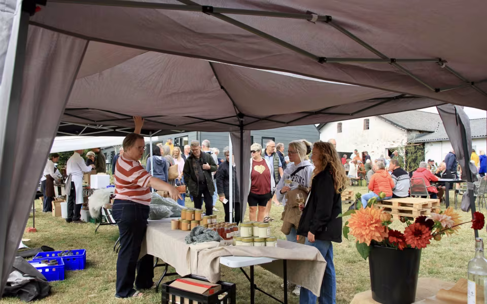 Stemnings billeder Varde Å Dag