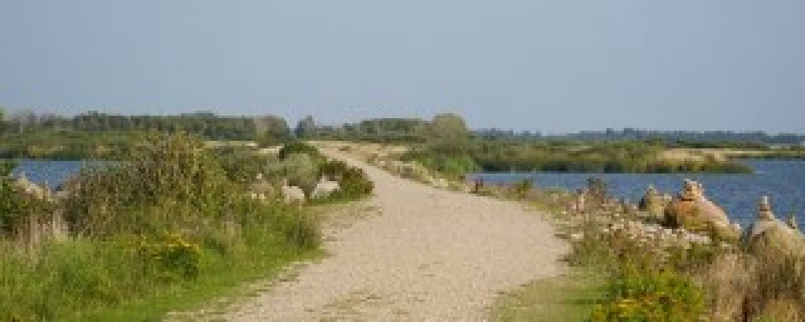Sti på dæmningen over Filsø til Langodde.