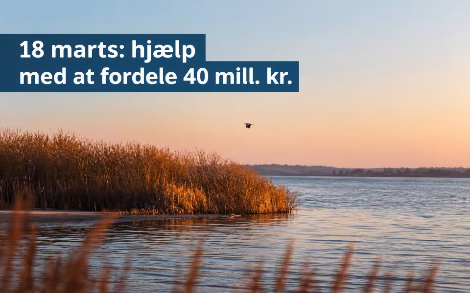 18 marts: hjælp med at fordele 40 mill. kr.