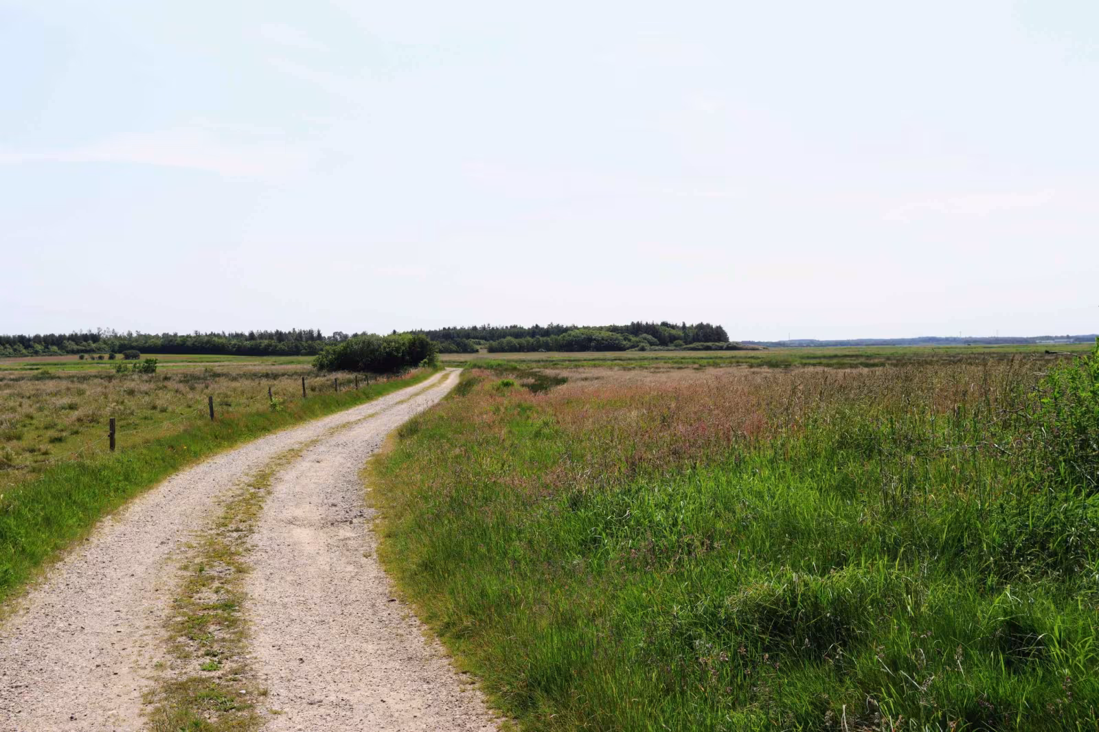Hjertestien i Billum på Hikingvarde