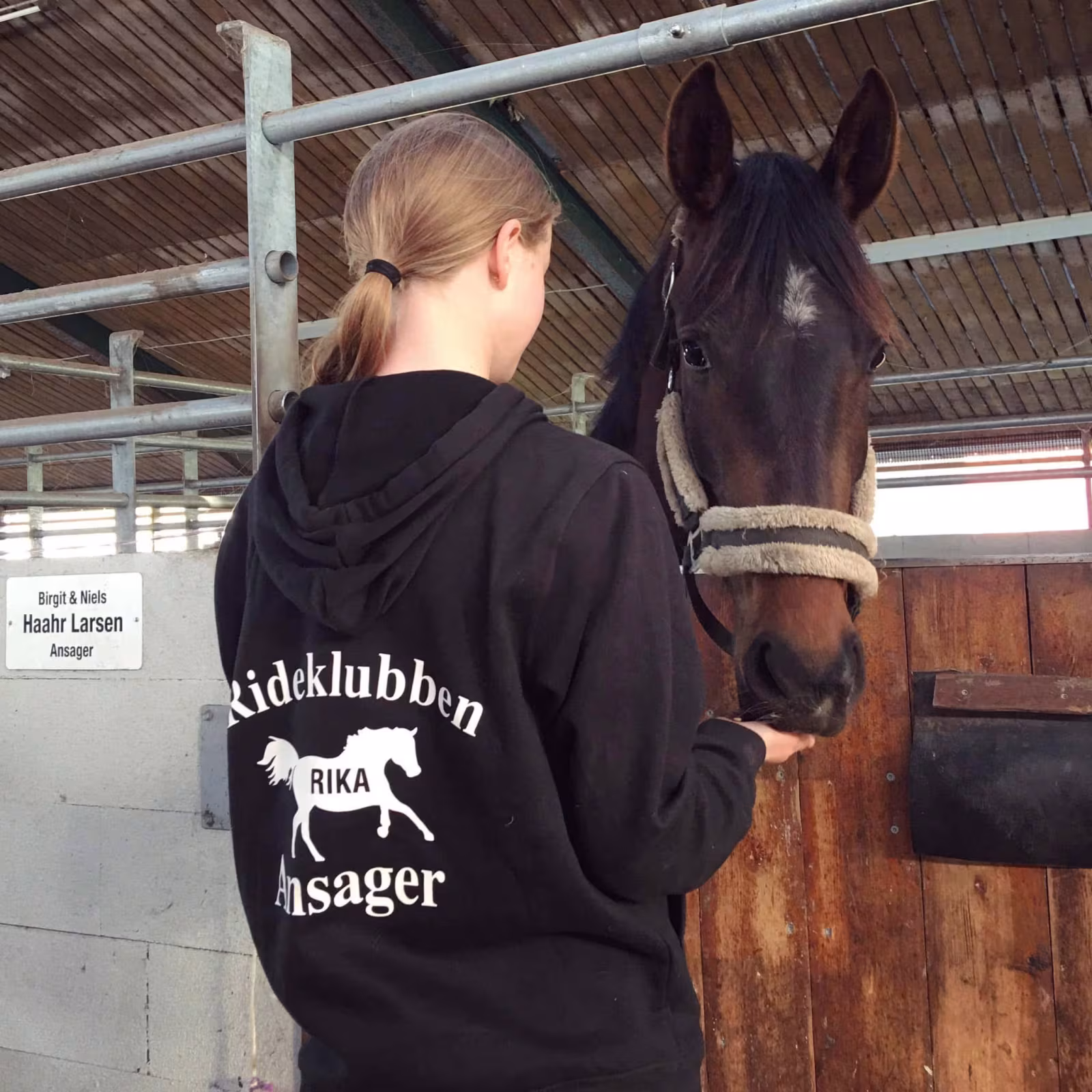Rideklubben Ansager søger en lånehest