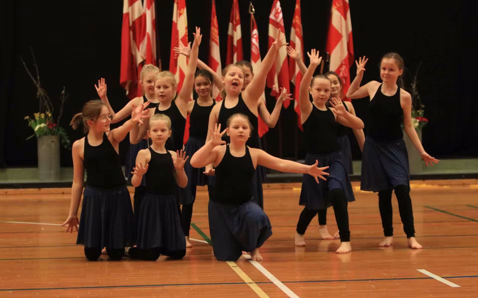 Stor succes ved DGI's opvisning