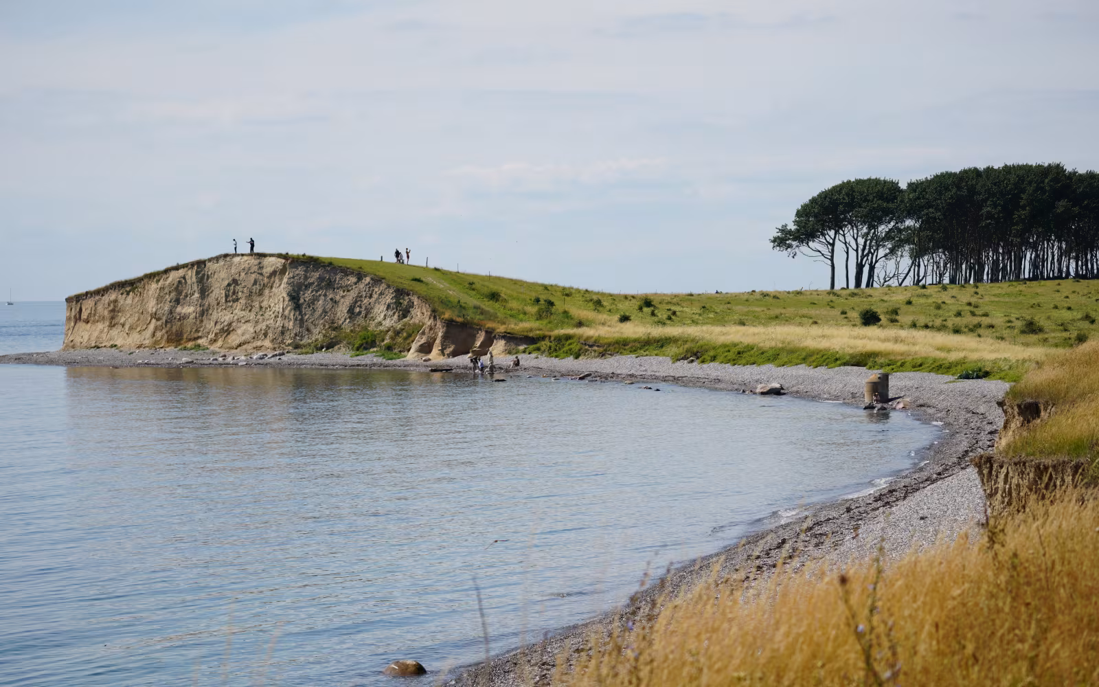 Kystklint ved Dovns Klint med besøgende på toppen og stenstrand ved vandet