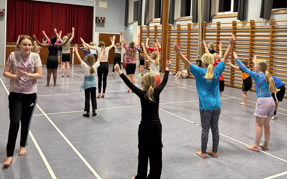 Holdet af Mini og Mega Mix gymnaster samlet, afspejler fællesskabets styrke. Sammen har de delt oplevelser, udfordringer og succeser, hvilket har styrket deres samhørighed og teamånd