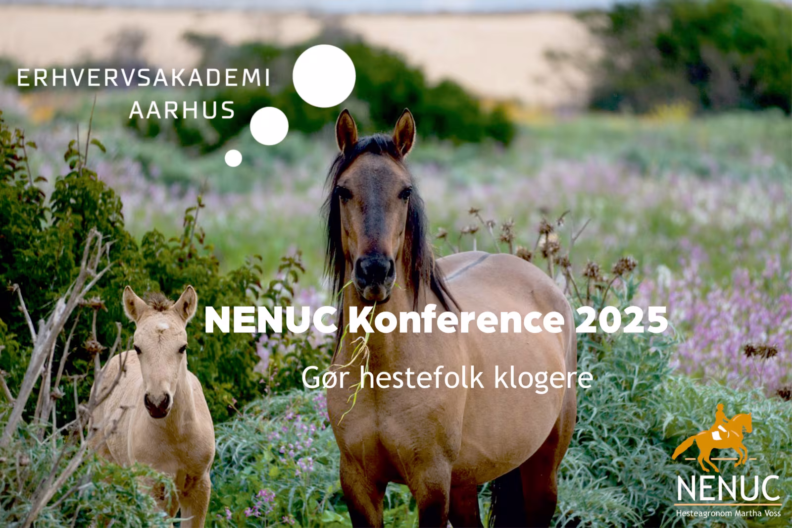 NENUC Hestekonference 2025