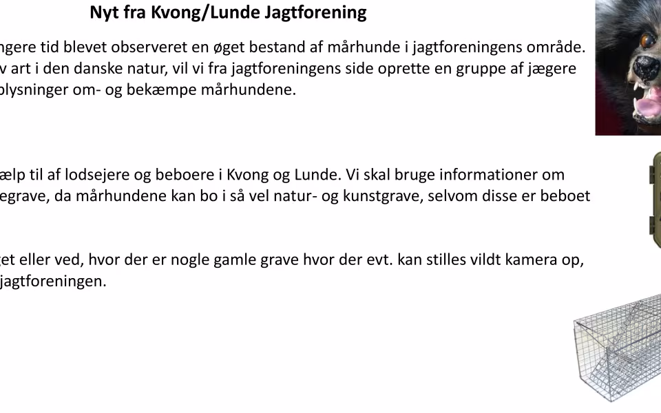 Nyt fra Lunde/Kvong jagtforening