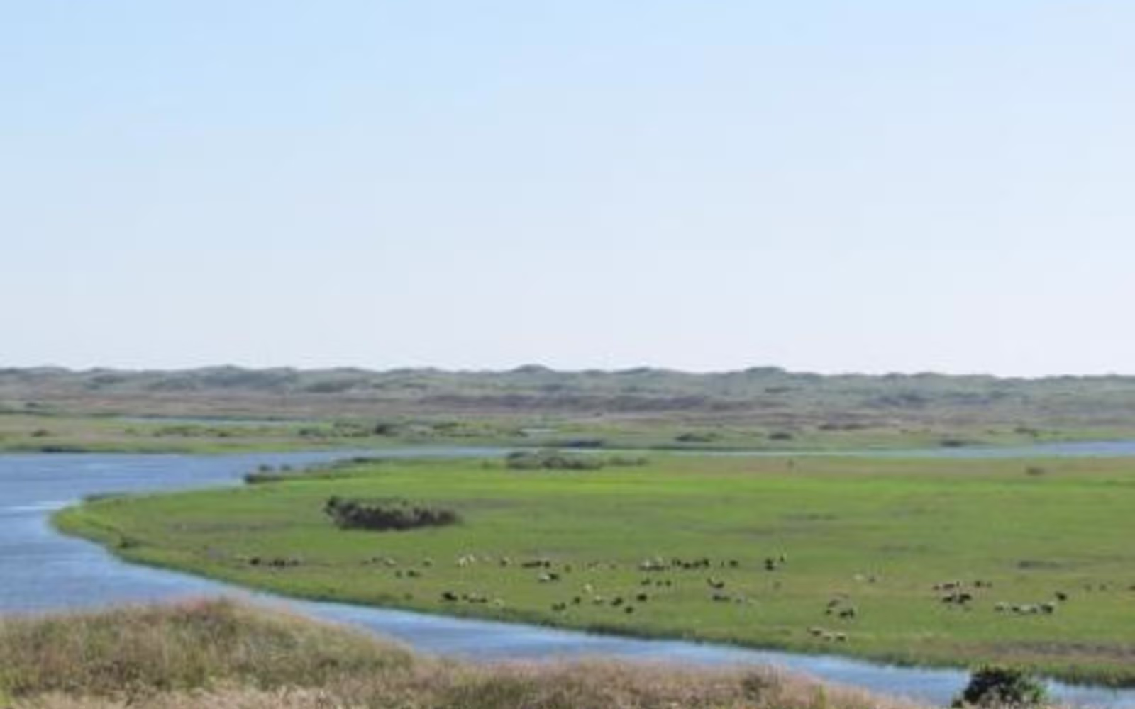 Nyminde Plantage Gul Rute