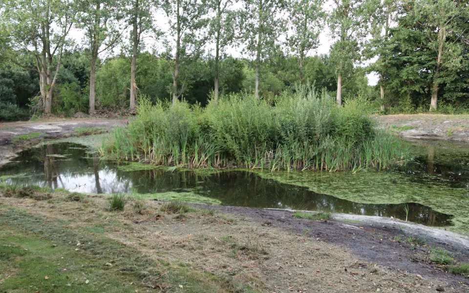 Engparken