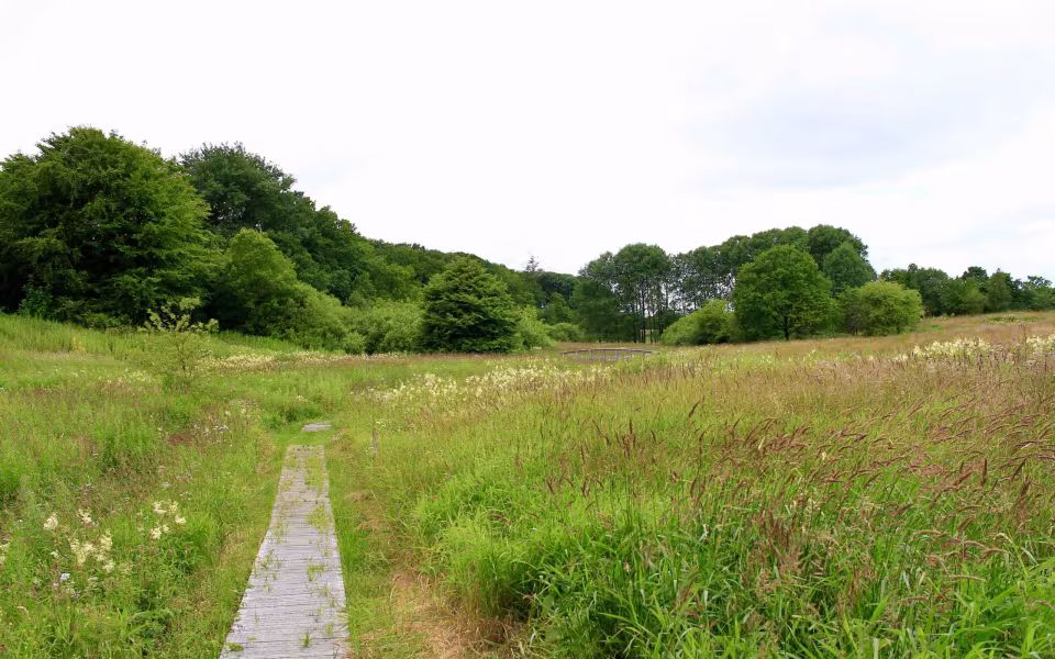 Hornes Vikingelund et paradis