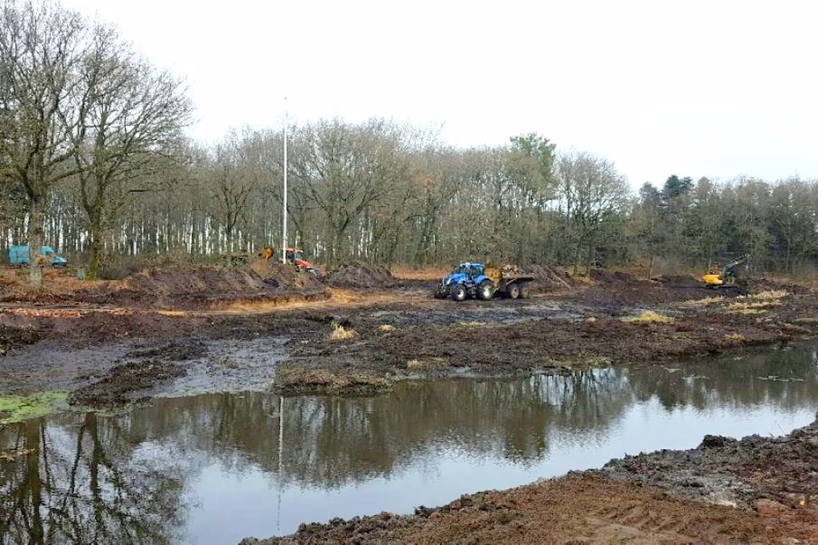 Oprensning af Tistrup Anlæg den 21-01-2017