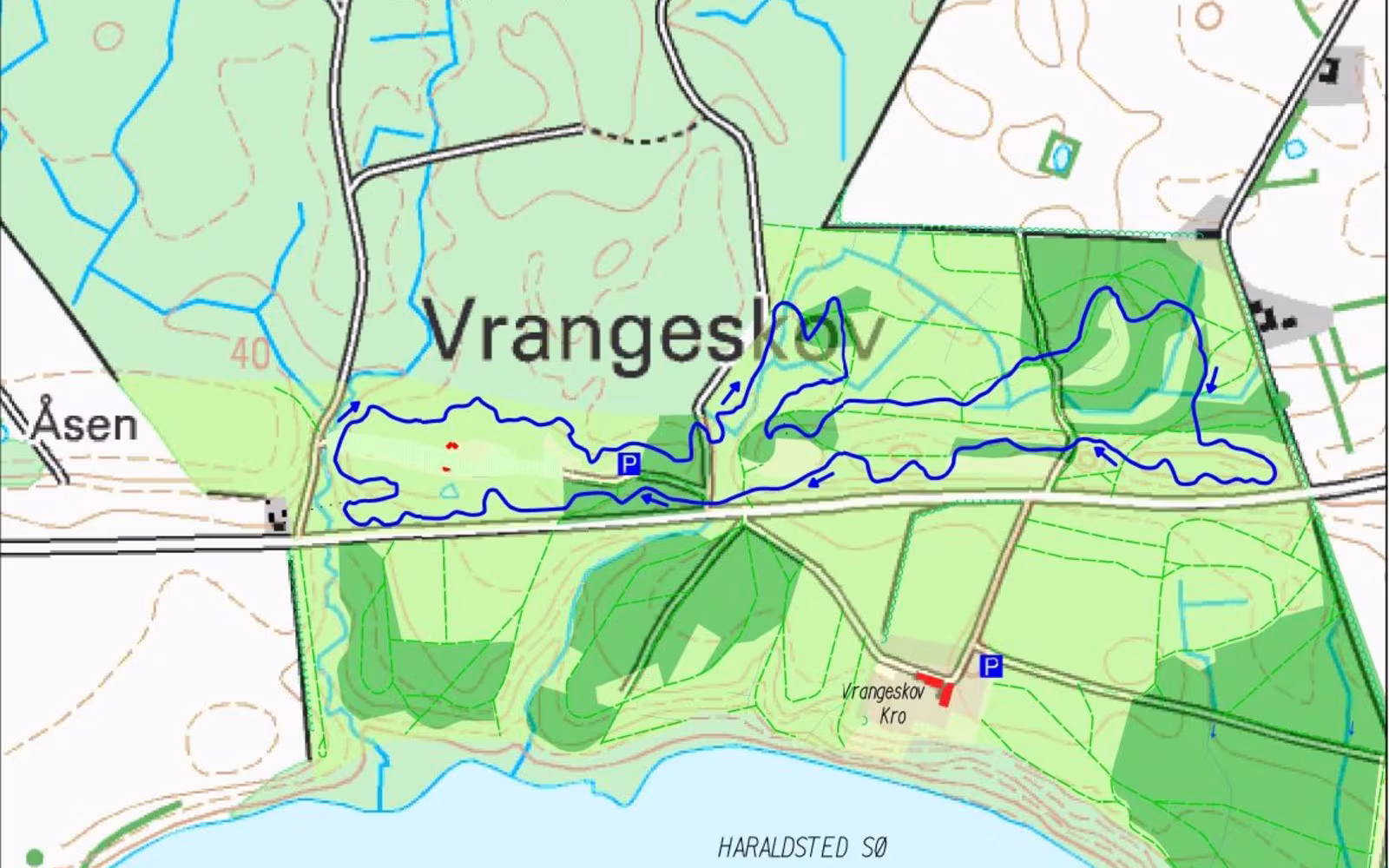 MTB-spor i Vrangeskov