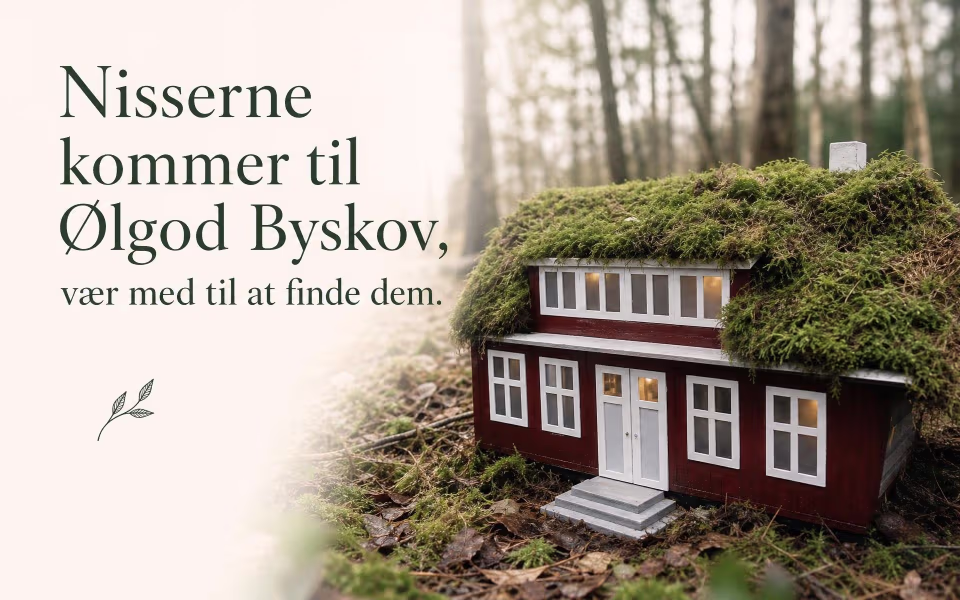 Nisserne kommer til Ølgod Byskov, vær med til at finde dem.