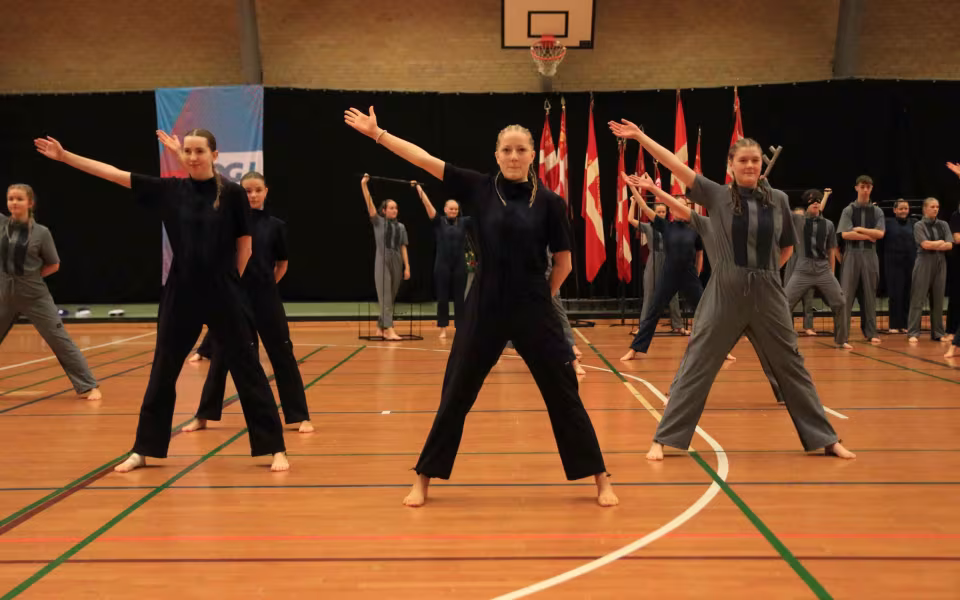 Stor succes ved DGI's opvisning