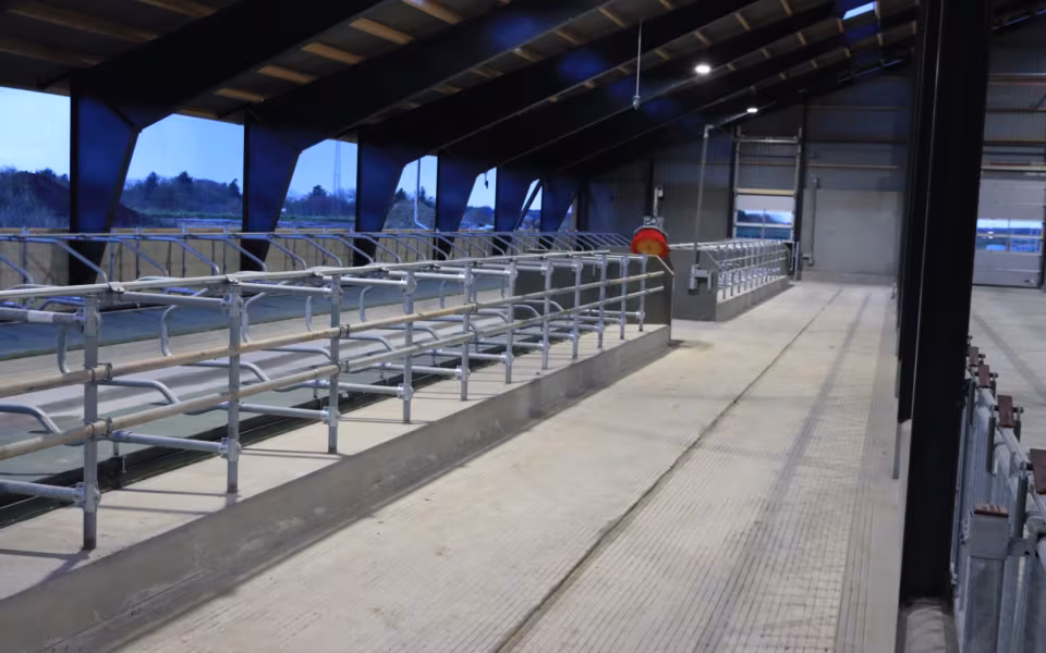 Nyt staldanlæg hos Højrupgaard Agro tages i brug