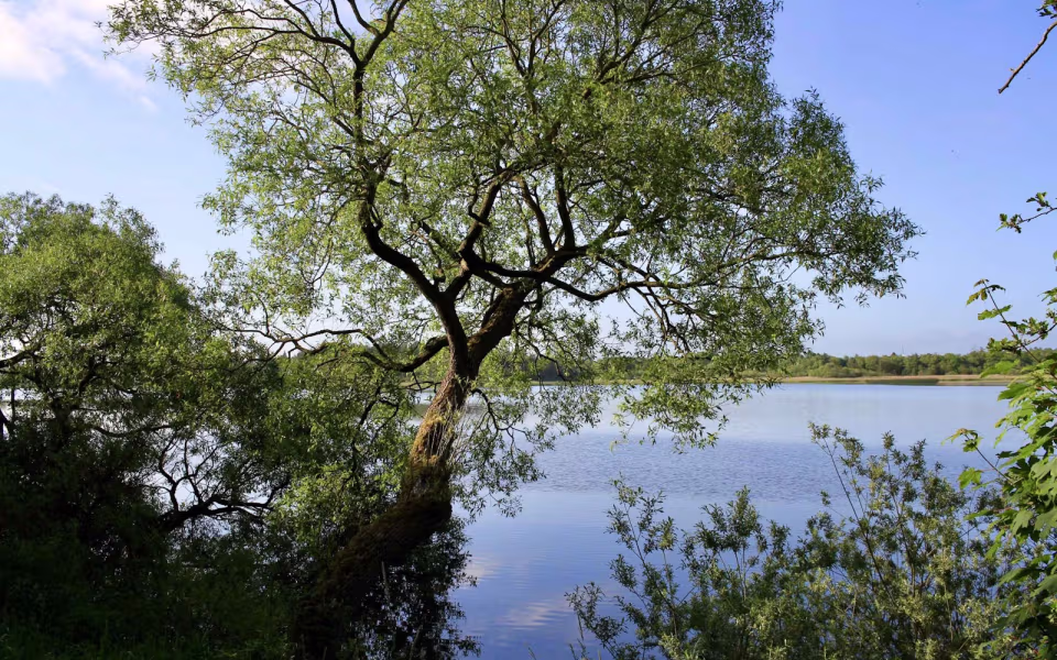 Morgenro ved Karlsgårde Sø