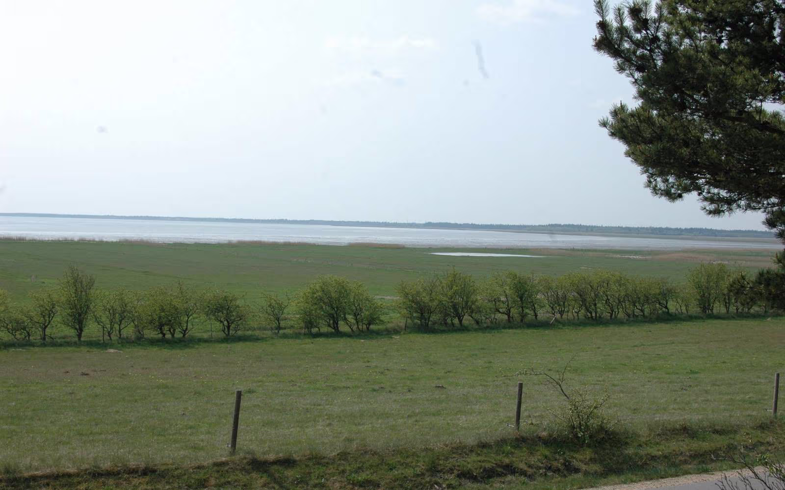 Varde Å, Broeng og Vrøgum - 24 km