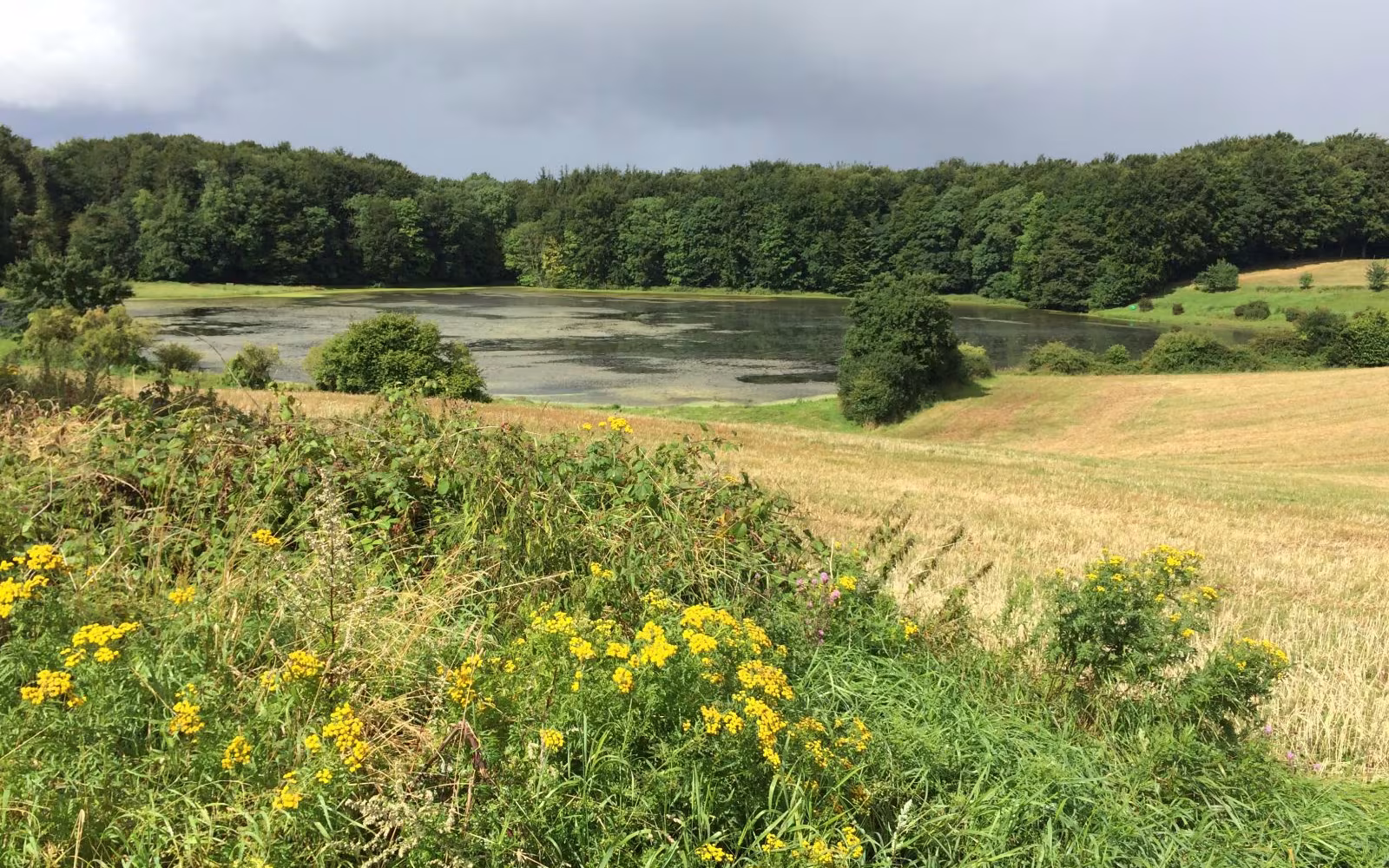 Løjt Land stierne