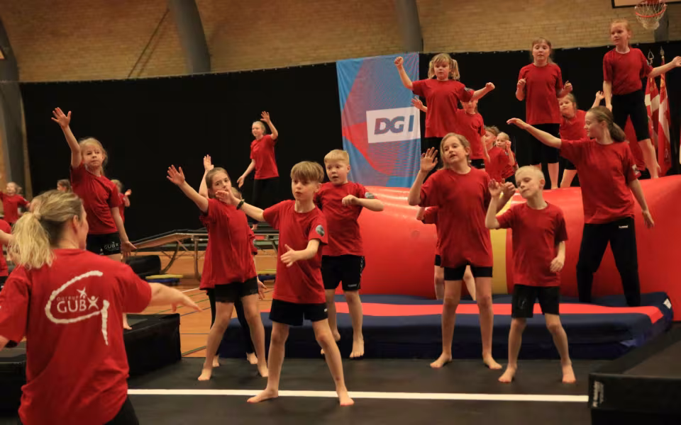 Stor succes ved DGI's opvisning