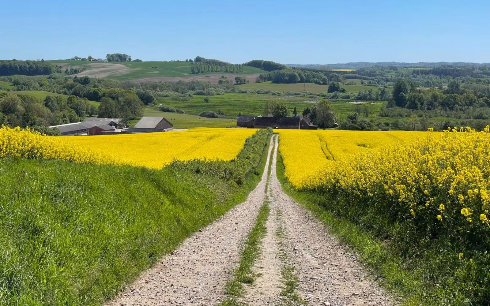 Alken, Bjedstrup og Svejstrup - Gul rute
