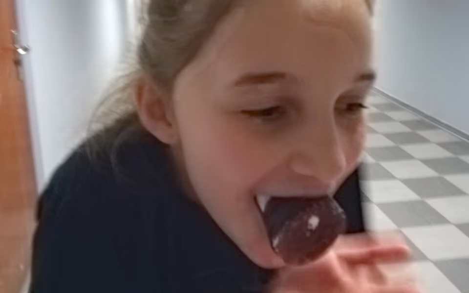 Springnat 2019 på Ansager skole