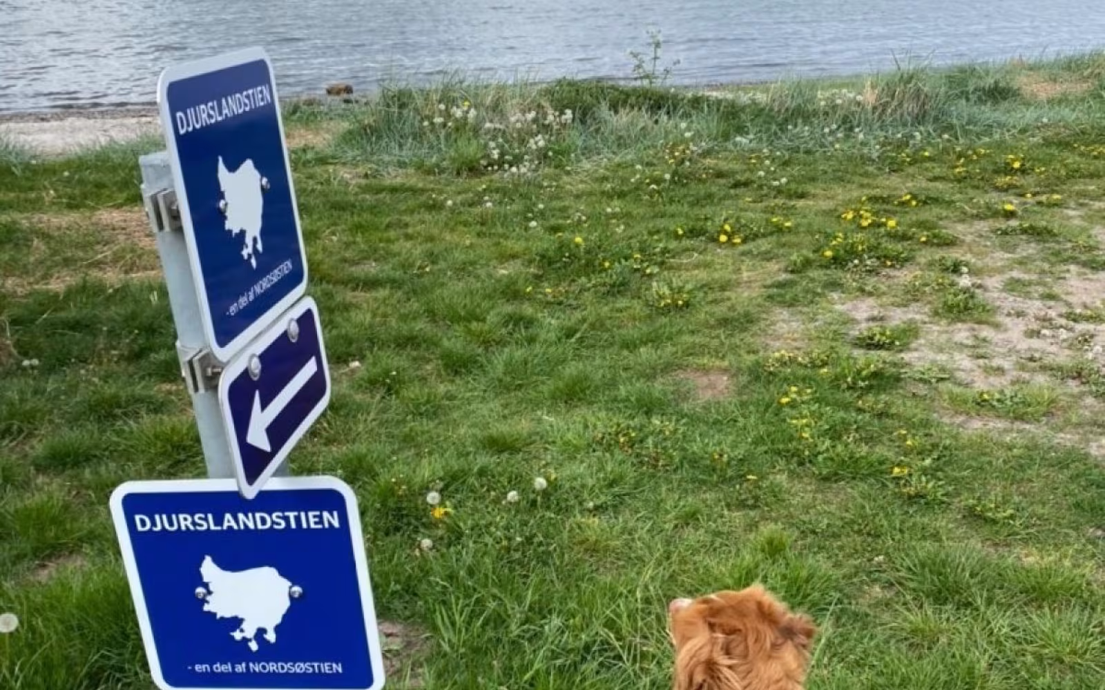Djurslandstien